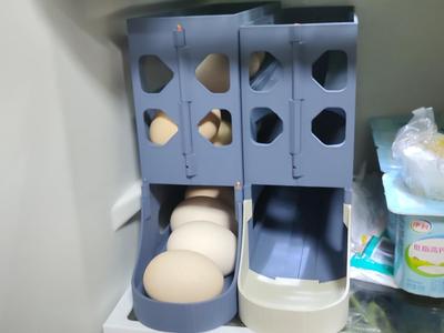 Egg Storage and Allocation Rack A1mini Version (No Supports/Hardware/Adhesive Needed)