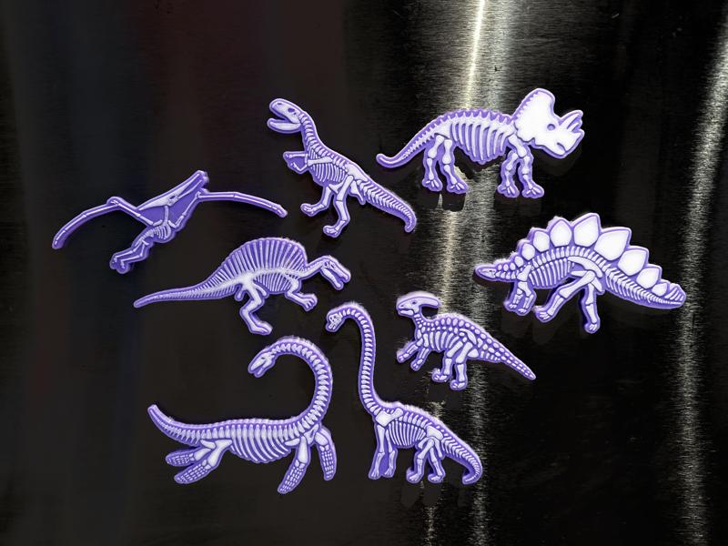 Dinosaur Bones Magnets