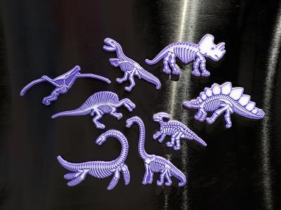 Dinosaur Bones Magnets
