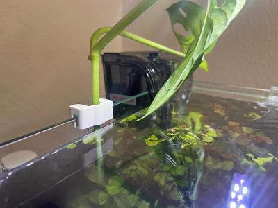 Aquarium Plant Holder - Short Version - 5mm Glass/Acrylic