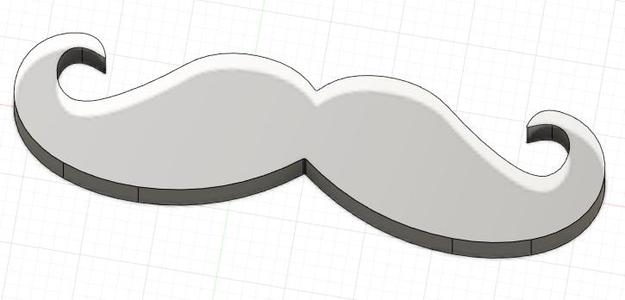 Cat Moustache