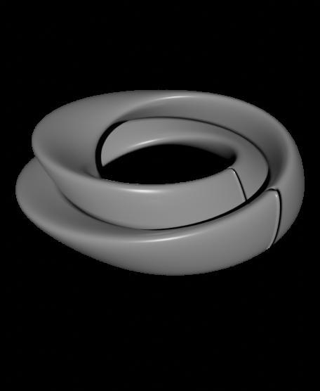 klein_bottle_architecture.stl
