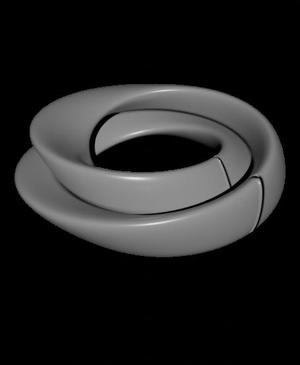 klein_bottle_architecture.stl
