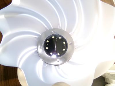 Sunara Table Lamp