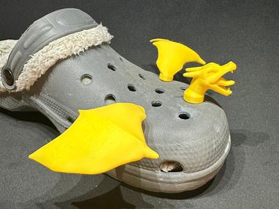 Charizard Shoe Charms Crocs