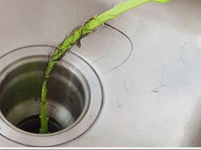 Drain cleaner
