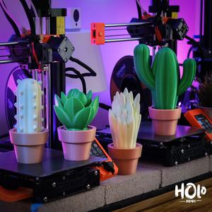 Cute Cactus Home Decor - Print in Place - Holoprops