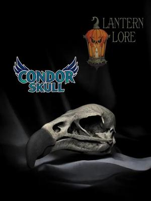 California Condor Skull