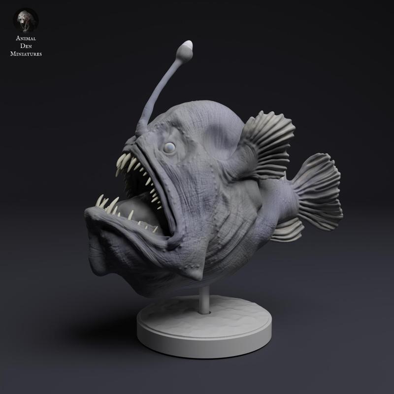 Humpback Anglerfish