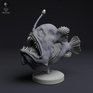 Humpback Anglerfish