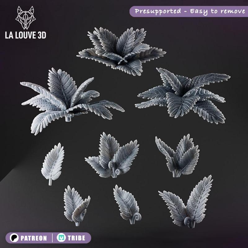 Ferns - Basing bits