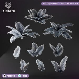 Ferns - Basing bits