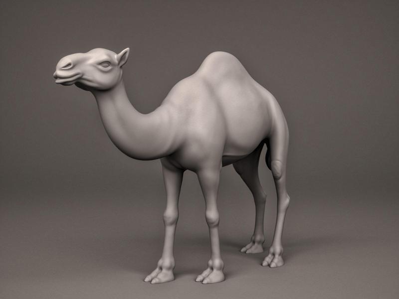 Camel