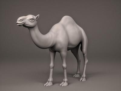Camel