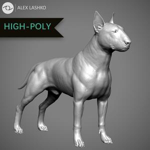 Bull Terrier High-Poly