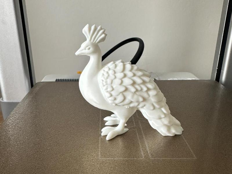 Peacock