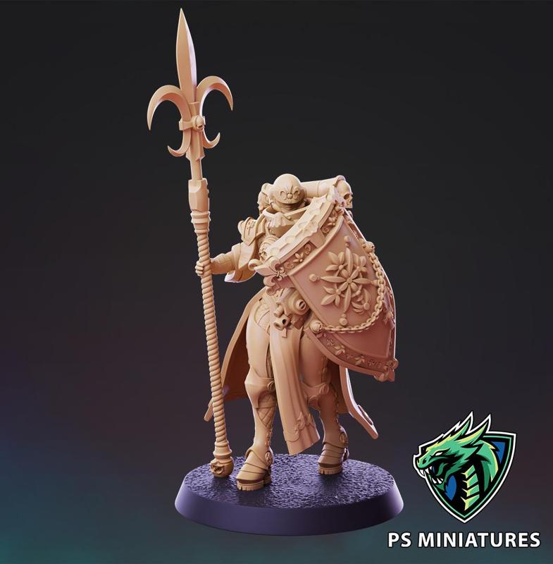Divine Order - Shieldmaiden Pose 2