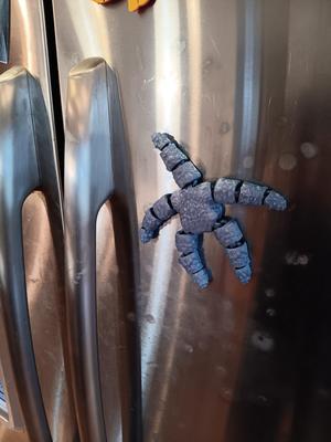 Flexi Starfish Magnet - flexi fidget toy - print in place