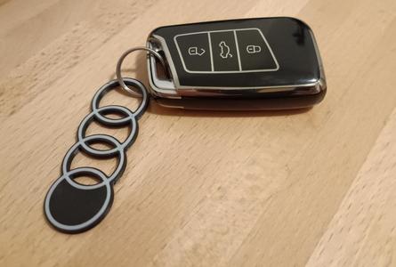 Audi Trolley Token, Shopping Cart Token, Keychain
