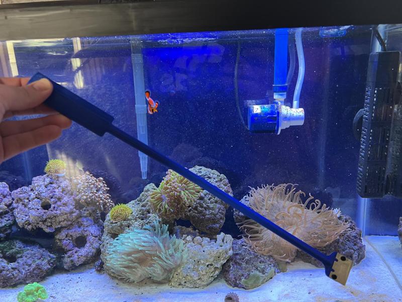 Long Reach Aquarium Scraper