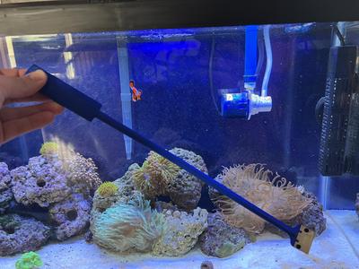 Long Reach Aquarium Scraper