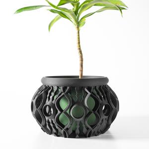 The Lyren Planter Pot & Orchid Pot Hybrid with Drainage Tray: Modern and Unique Home Decor for Plants and Succulents