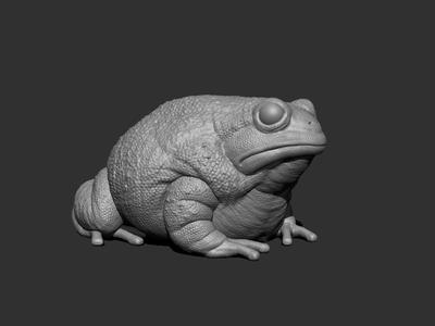 3D Anaxyrus for Printing