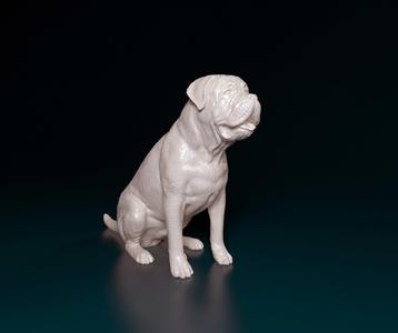 Bullmastiff dog