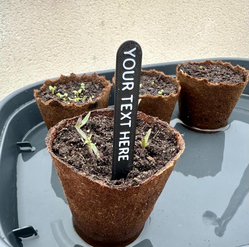 Custom plant name tag
