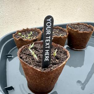 Custom plant name tag