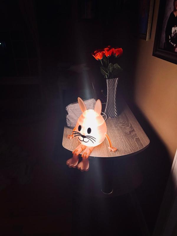 Easter Bunny led 001 night light
