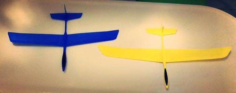 Nimbus High Performance glider