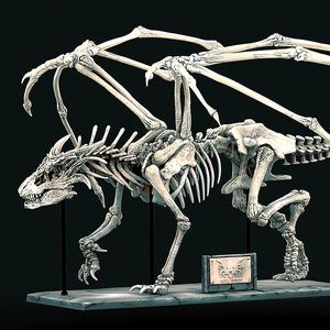 Skeleton Desk Drake