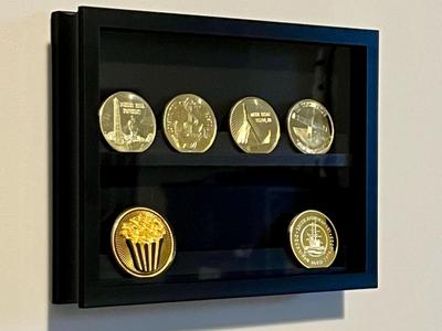 Coin Display Case