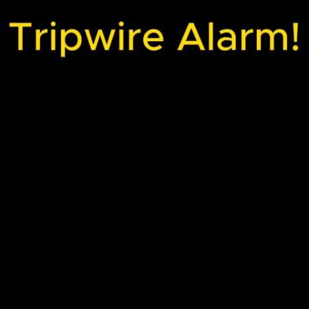 Tripwire Perimeter Alarm