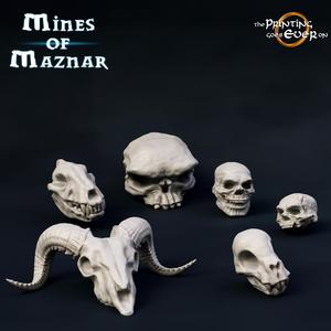 Skulls Bundle - Presupported