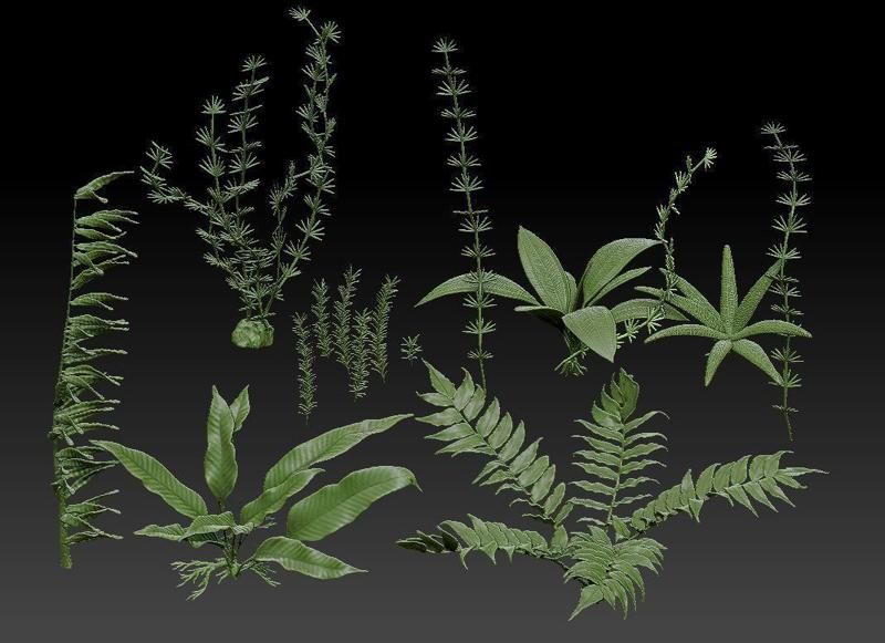Aquatic plants