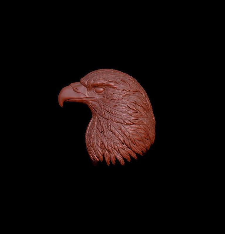 Head of the Eagle