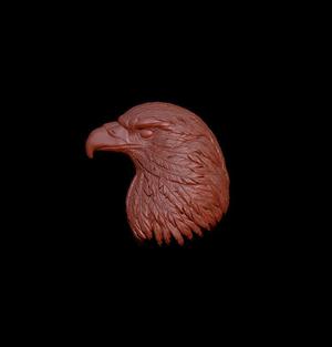 Head of the Eagle