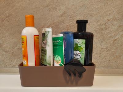 Organizer