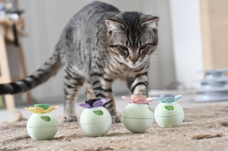 Bottle lid cat toys