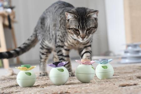 Bottle lid cat toys