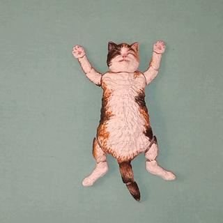 Happy cat