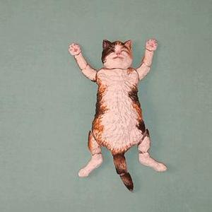 Happy cat