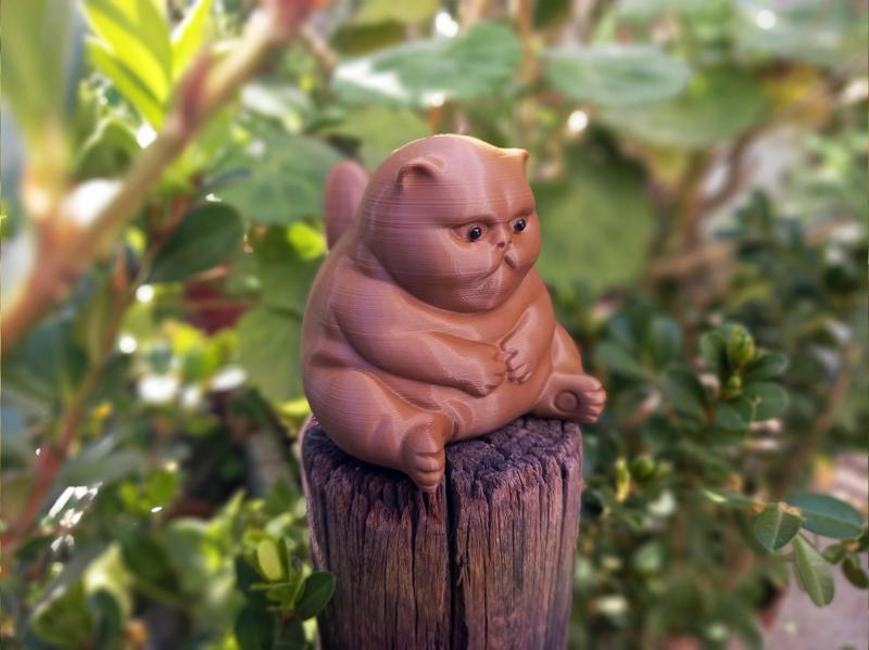 Thinking cat