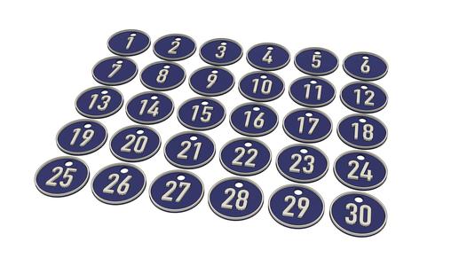 Numbered keychains predefined from 1 to 300 and empty tag