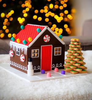 Magnetic Tile Gingerbread House