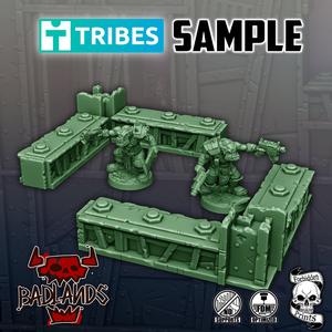 Sample For Tribes June 2025!
