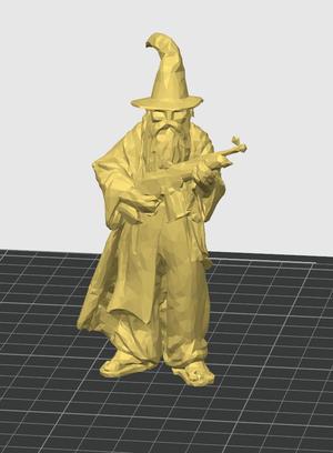 Poly Wizard With a Gun!