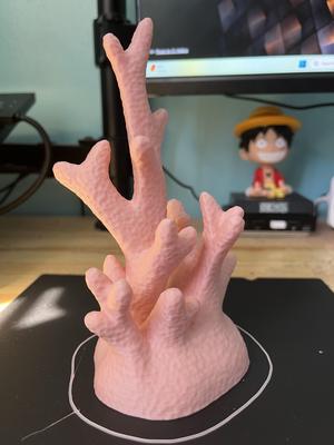 Coral - Home Decor